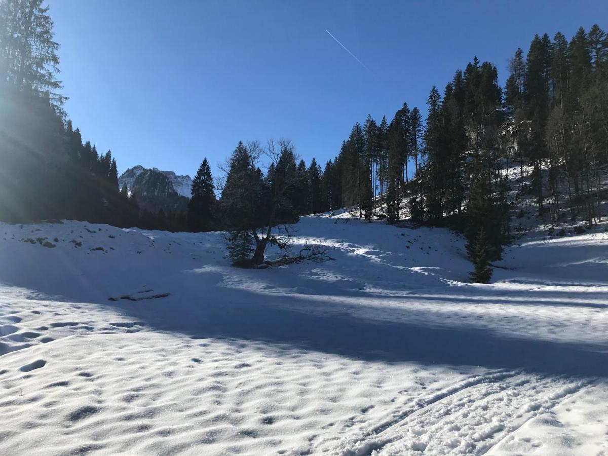 Sibratsgfäll Kraehenberg Am Rande Der Wildnis 아파트 외부 사진