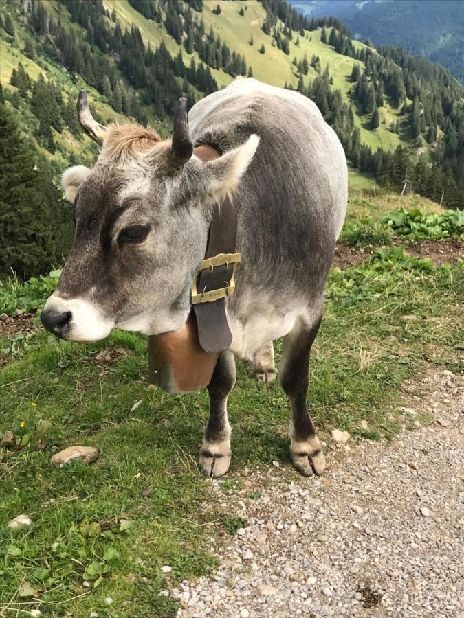 Sibratsgfäll Kraehenberg Am Rande Der Wildnis 아파트 외부 사진