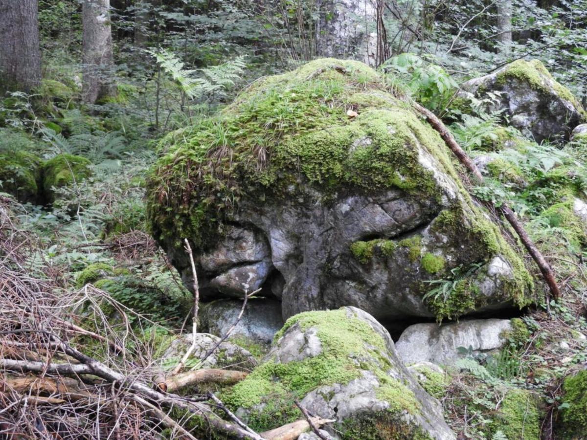 Sibratsgfäll Kraehenberg Am Rande Der Wildnis 아파트 외부 사진