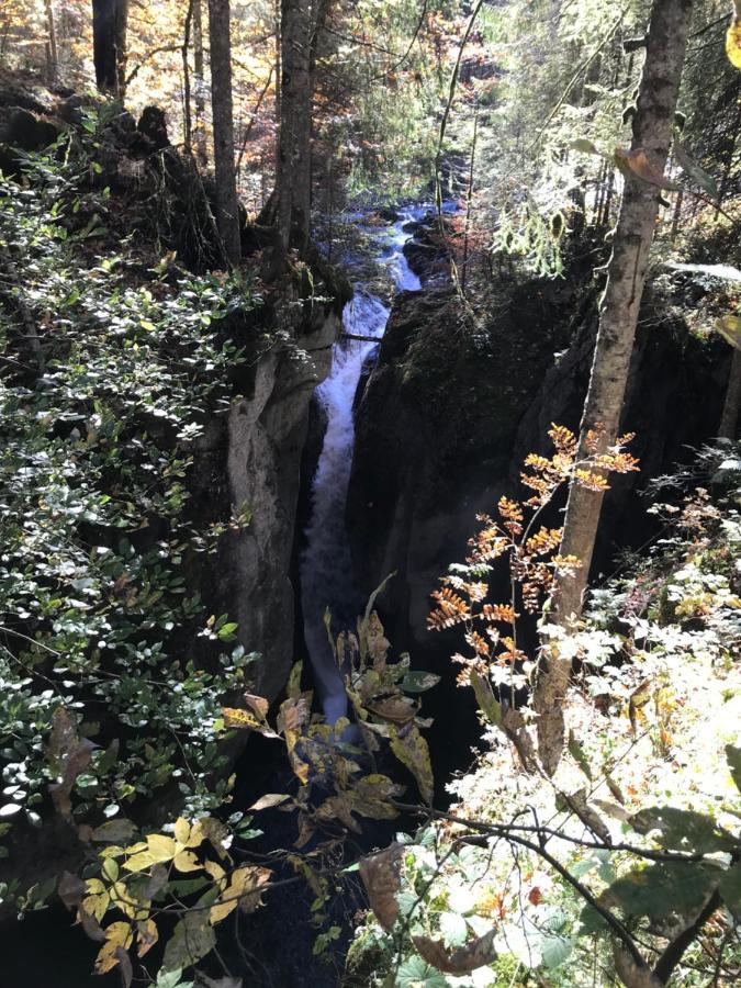 Sibratsgfäll Kraehenberg Am Rande Der Wildnis 아파트 외부 사진