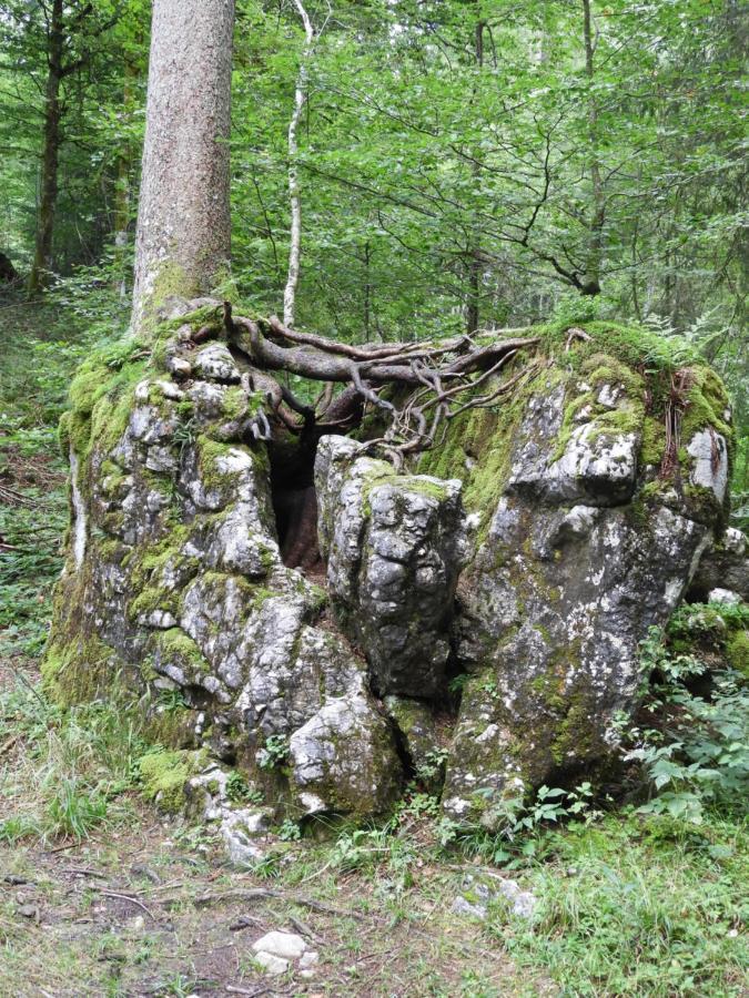 Sibratsgfäll Kraehenberg Am Rande Der Wildnis 아파트 외부 사진