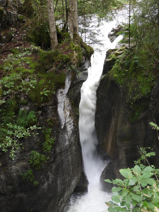 Sibratsgfäll Kraehenberg Am Rande Der Wildnis 아파트 외부 사진
