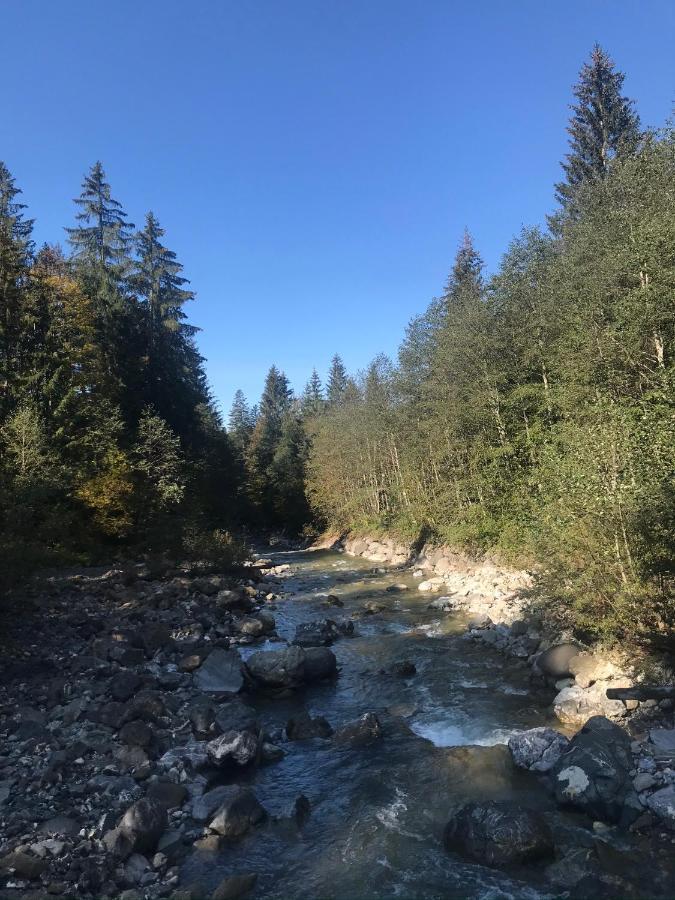 Sibratsgfäll Kraehenberg Am Rande Der Wildnis 아파트 외부 사진