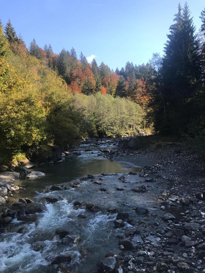 Sibratsgfäll Kraehenberg Am Rande Der Wildnis 아파트 외부 사진